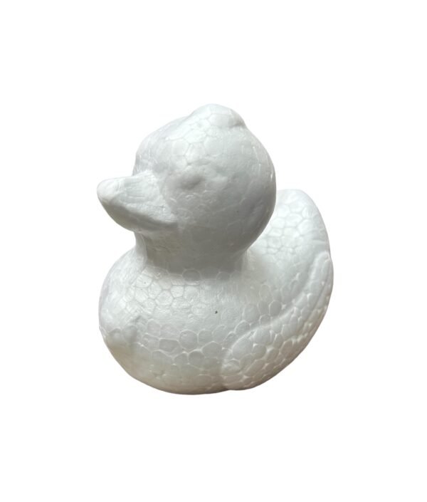 styrofoam duck