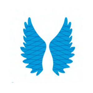 Blue Eagle Feather